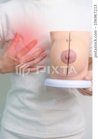 Woman holding Chest pain with Breast Anatomy model. Breast Augmentation Surgery, October Breast Cancer Awareness month, checking, Diagnosis, Beauty woman enlargement, Disease and medical concept Woman holding Chest pain with Breast Anatomy model. Breast Augmentation Surgery, October Breast Cancer Awareness month, checking, Diagnosis, Beauty woman enlargement, Disease and medical concept 106967213