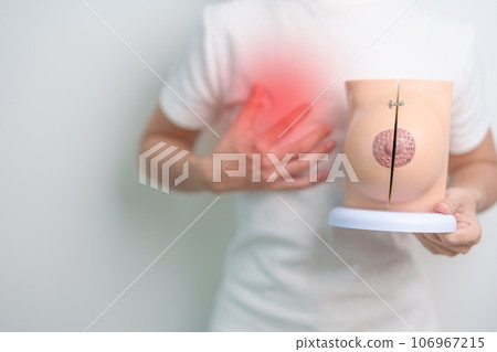 Woman holding Chest pain with Breast Anatomy model. Breast Augmentation Surgery, October Breast Cancer Awareness month, checking, Diagnosis, Beauty woman enlargement, Disease and medical concept Woman holding Chest pain with Breast Anatomy model. Breast Augmentation Surgery, October Breast Cancer Awareness month, checking, Diagnosis, Beauty woman enlargement, Disease and medical concept 106967215