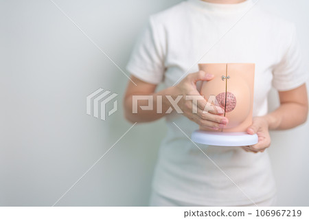 woman holding Breast Anatomy model. Breast Augmentation Surgery, October Breast Cancer Awareness month, implant, Diagnosis, Beauty woman enlargement and medical education concept woman holding Breast Anatomy model. Breast Augmentation Surgery, October Breast Cancer Awareness month, implant, Diagnosis, Beauty woman enlargement and medical education concept 106967219