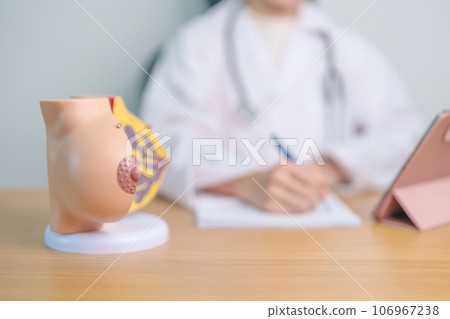 Doctor with Breast Anatomy model. Breast Augmentation Surgery, October Breast Cancer Awareness month, implant, Diagnosis, Beauty woman enlargement and medical education concept Doctor with Breast Anatomy model. Breast Augmentation Surgery, October Breast Cancer Awareness month, implant, Diagnosis, Beauty woman enlargement and medical education concept 106967238