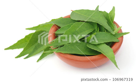 Curry Leaves 106967319