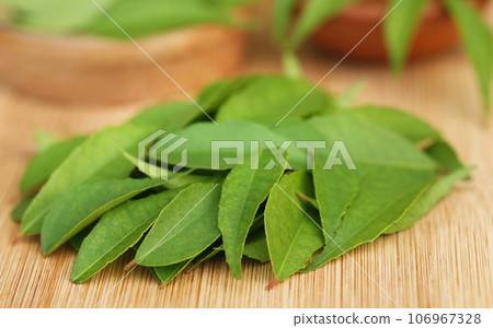 Curry leaves 106967328