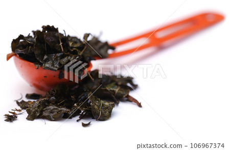 Fried moringa leaves 106967374