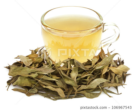Medicinal Chirata with herbal tea Medicinal Chirata with herbal tea 106967543