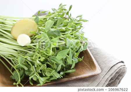 Bean sprouts, sliced potatoes and garlic 106967622