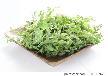 Soybean 106967623