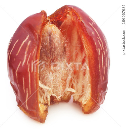 Arabian Date Arabian Date 106967685