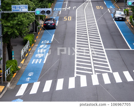 Cars parked in normal bicycle lanes 106967705
