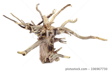Bogwood Bogwood 106967730