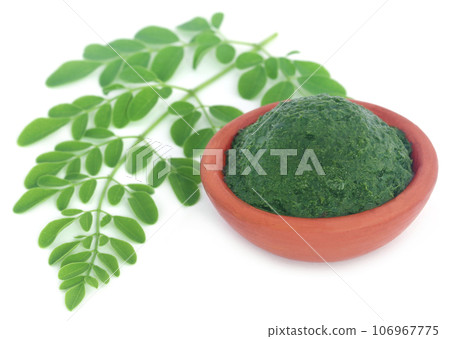 Edible moringa leaves with ground paste Edible moringa leaves with ground paste 106967775