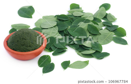 Edible moringa leaves with ground paste 106967784