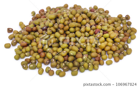 Mung bean Mung bean 106967824