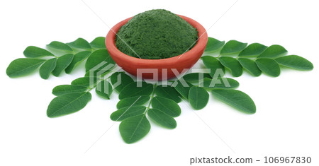 Edible moringa leaves with ground paste Edible moringa leaves with ground paste 106967830
