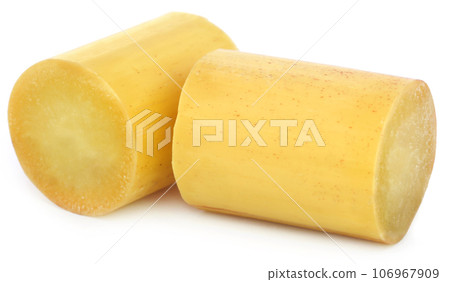 Piece of sugarcane Piece of sugarcane 106967909
