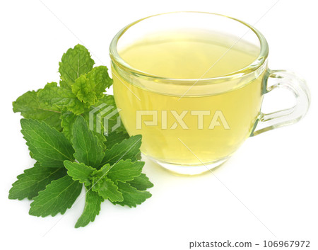 Herbal tea in a cup with stevia and mint leaves 106967972
