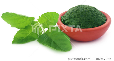Medicinal holy basil with ground paste Medicinal holy basil with ground paste 106967986