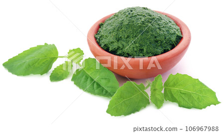 Medicinal holy basil with ground paste Medicinal holy basil with ground paste 106967988
