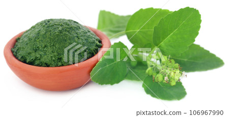 Medicinal holy basil with ground paste Medicinal holy basil with ground paste 106967990