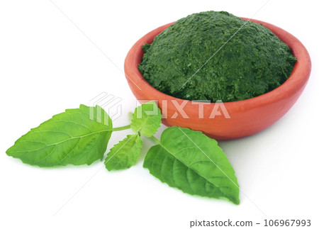 Medicinal holy basil with ground paste 106967993