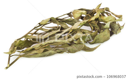 Ayurvedic medicinal Chirata 106968037