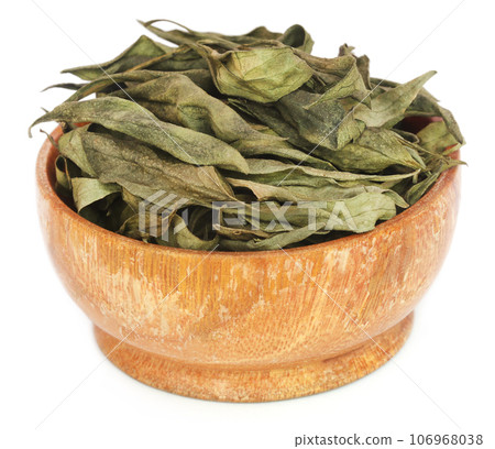 Ayurvedic medicinal Chirata 106968038