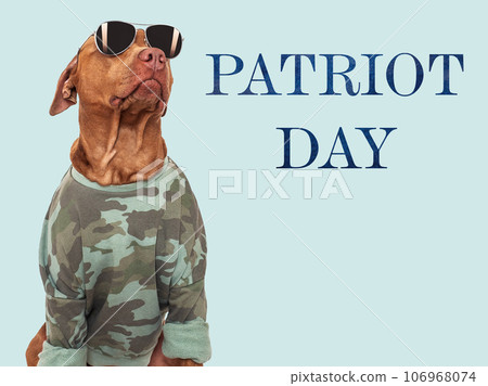 Patriot Day. Cute brown dog and American Flag Patriot Day. Cute brown dog and American Flag 106968074