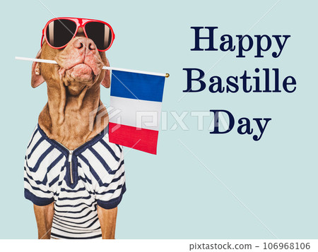 Happy Bastille Day. Lovable dog and French Flag Happy Bastille Day. Lovable dog and French Flag 106968106
