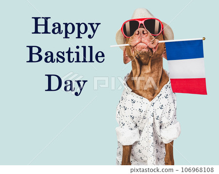 Happy Bastille Day. Lovable dog and French Flag Happy Bastille Day. Lovable dog and French Flag 106968108