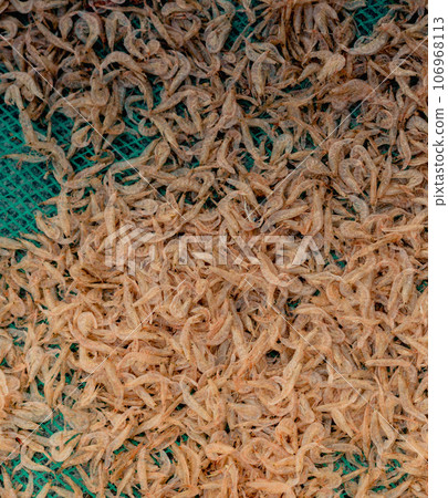 Plenty of dry shrimp background market for sell. Close-up pile texture detail bright light pink pale tone Plenty of dry shrimp background market for sell. Close-up pile texture detail bright light pink pale tone 106968113