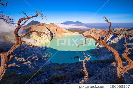 Deadwood Leafless Tree with Turquoise Water Lake,Beautiful nature Landscape mountain and green lake at Kawah Ijen volcano,East Java, Indonesia Deadwood Leafless Tree with Turquoise Water Lake,Beautiful nature Landscape mountain and green lake at Kawah Ijen volcano,East Java, Indonesia 106968307