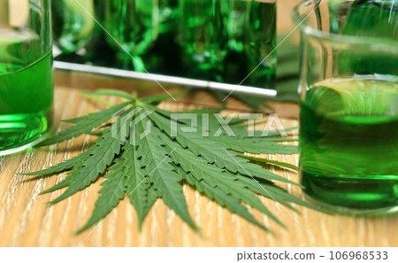 Cannabis leaves in laboratory Cannabis leaves in laboratory 106968533