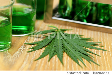 Cannabis leaves in laboratory Cannabis leaves in laboratory 106968534