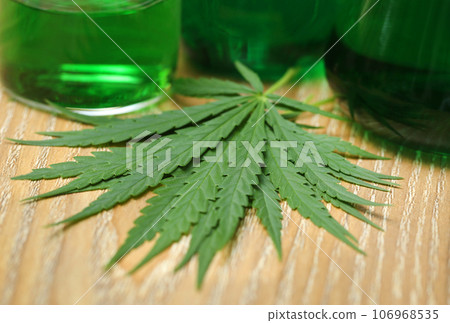 Cannabis leaves in laboratory Cannabis leaves in laboratory 106968535