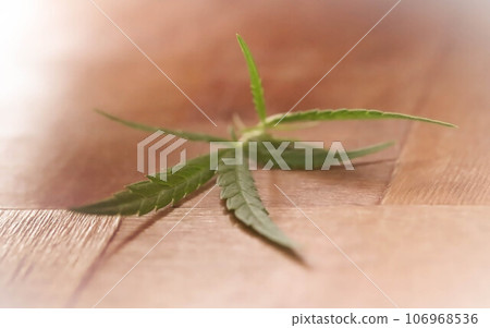 Cannabis leaves Cannabis leaves 106968536