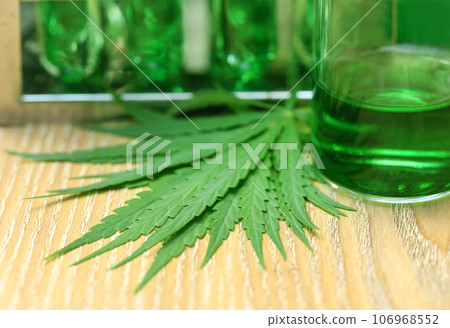 Cannabis leaves in laboratory Cannabis leaves in laboratory 106968552