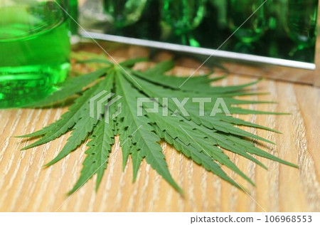 Cannabis leaves in laboratory 106968553