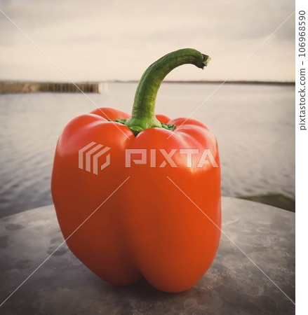 Red capsicum Red capsicum 106968590