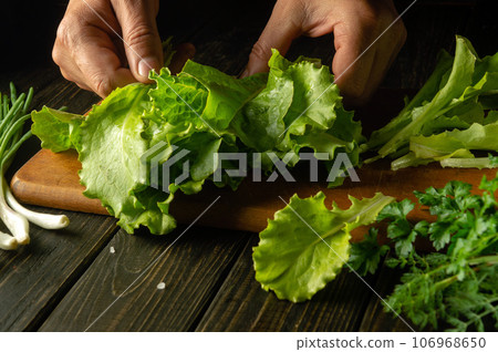 The cook prepares lettuce and onion salad on the kitchen table. Healthy vegetarian food by the hands of the chef The cook prepares lettuce and onion salad on the kitchen table. Healthy vegetarian food by the hands of the chef 106968650
