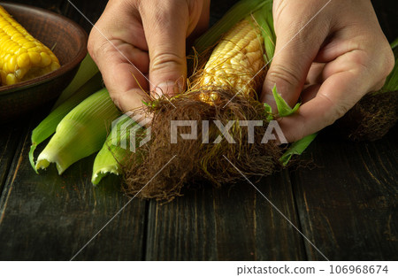 Preparation of maize on the kitchen table with the hands of a chef. Cleaning corn cobs from green husks Preparation of maize on the kitchen table with the hands of a chef. Cleaning corn cobs from green husks 106968674