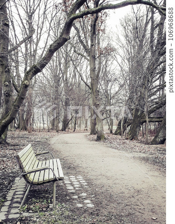 Lonely old wooden bench outdoor 106968688