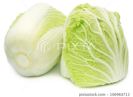 Chinese cabbage Chinese cabbage 106968711