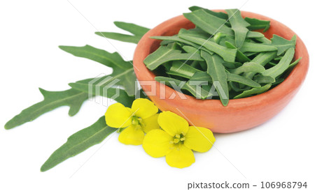 Fresh arugula or rucola leaves with flowers 106968794
