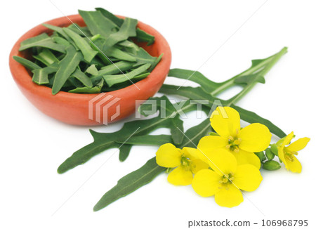 Fresh arugula or rucola leaves with flowers 106968795