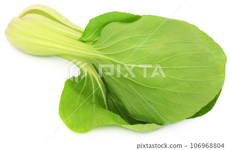 Organic Bok Choy 106968804