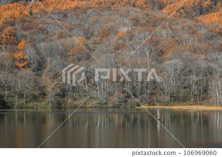 Late autumn Togakushi mirror pond 106969060