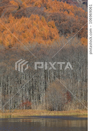 Late autumn Togakushi mirror pond Late autumn Togakushi mirror pond 106969061