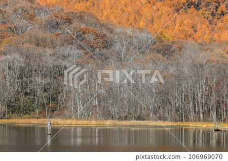 Late autumn Togakushi mirror pond Late autumn Togakushi mirror pond 106969070