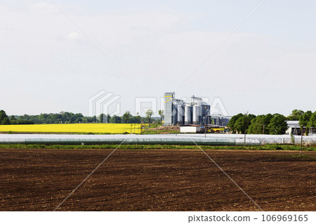 Field of rapeseed flowers, plant for cleaning and storage of agricultural products, flour, cereals and grains. 106969165