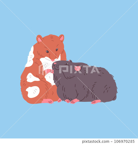 Cute colorful hamsters together flat style, vector illustration Cute colorful hamsters together flat style, vector illustration 106970285