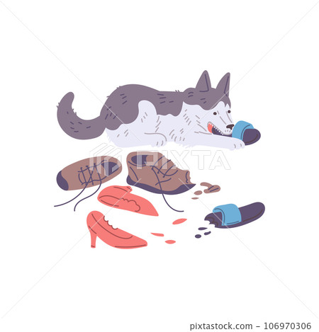 Naughty dog chewing tearing shoes, sneakers, slippers, bad canine behavior damaging things at home, vector problem puppy Naughty dog chewing tearing shoes, sneakers, slippers, bad canine behavior damaging things at home, vector problem puppy 106970306